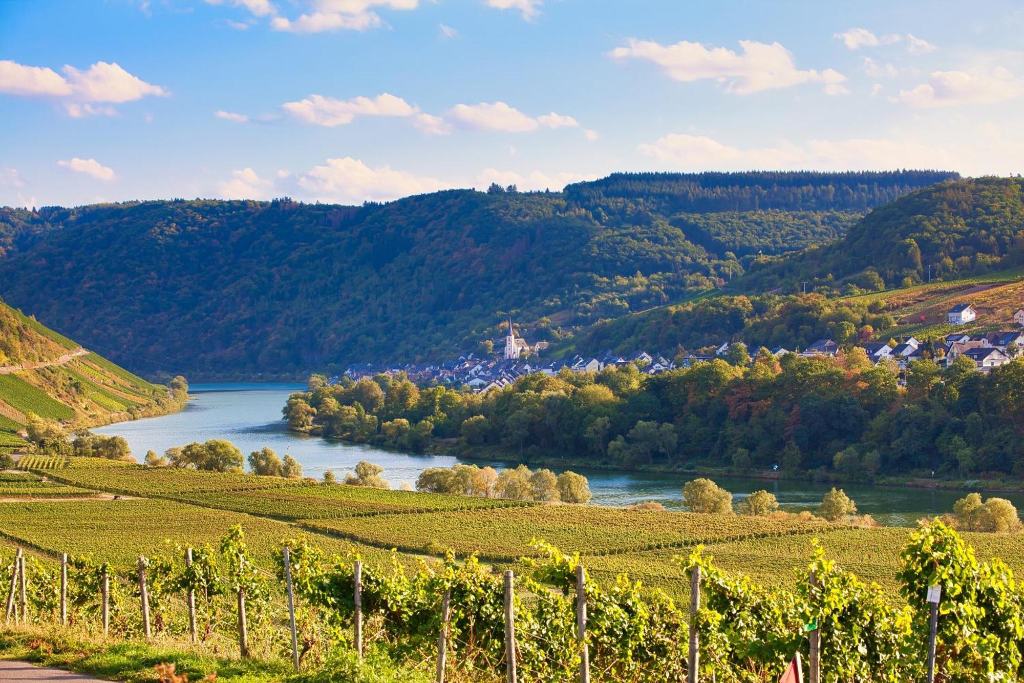 Mayer'S Weinhotel Zell an der Mosel Exterior foto