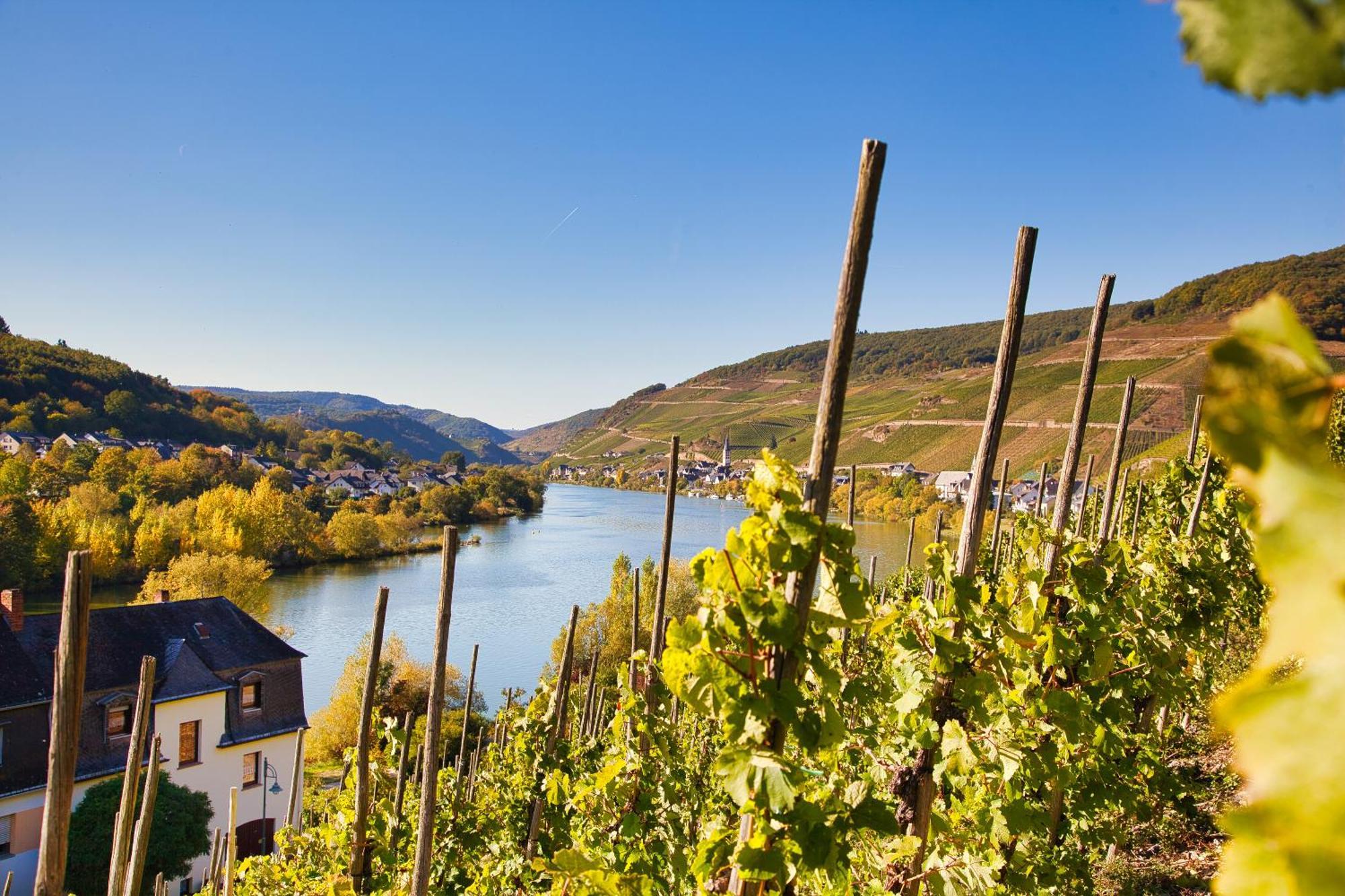 Mayer'S Weinhotel Zell an der Mosel Exterior foto