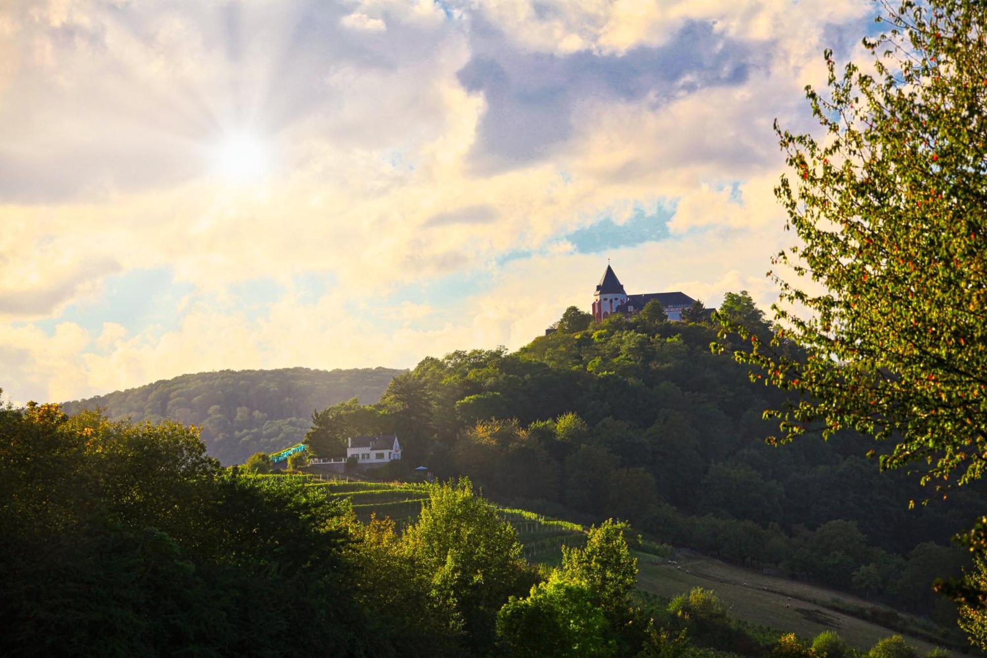 Mayer'S Weinhotel Zell an der Mosel Exterior foto